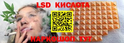 Альфа ПВП Нальчик