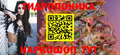 СК Наро-Фоминск