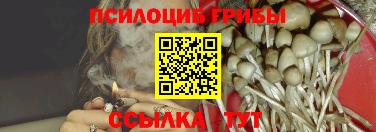 Галлюциногенные грибы MAGIC MUSHROOMS  Вход с VPN  Родники  Псилоцибиновые грибы Psilocybine cubensis 